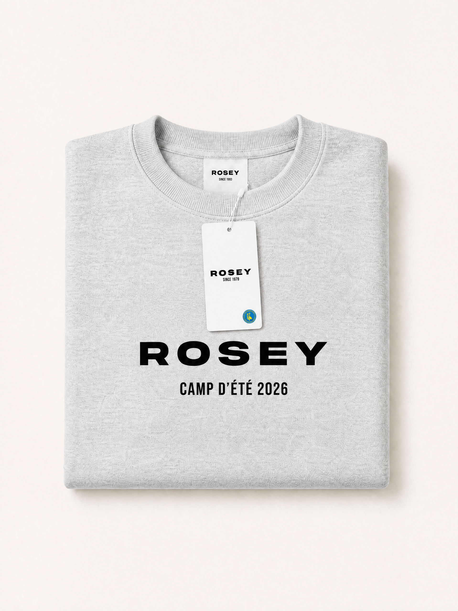 Sweatshirt gris (Camp 2026)