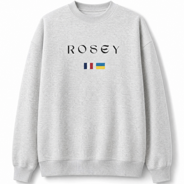 Sweatshirt gris (Reject Modernity)