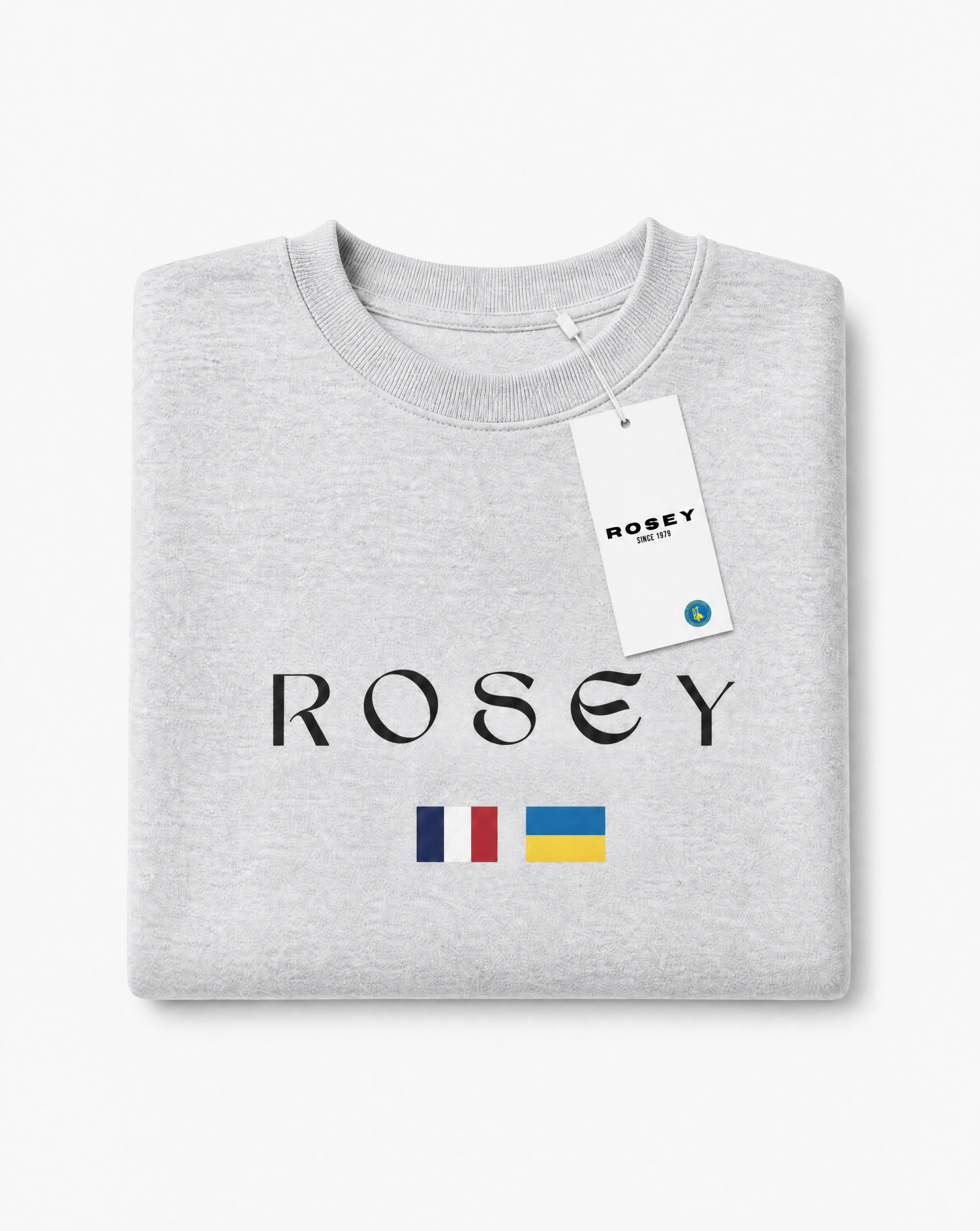 Sweatshirt gris (Reject Modernity)