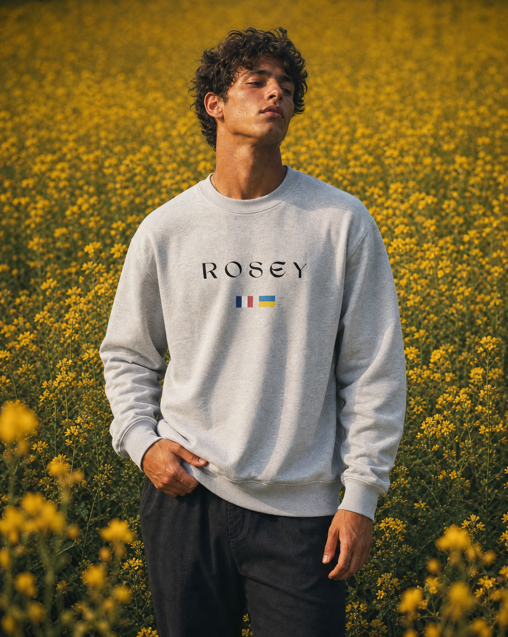 Sweatshirt gris (Reject Modernity)